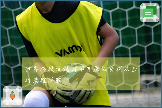 世界杯投注站打不开原因分析及应对流程详解