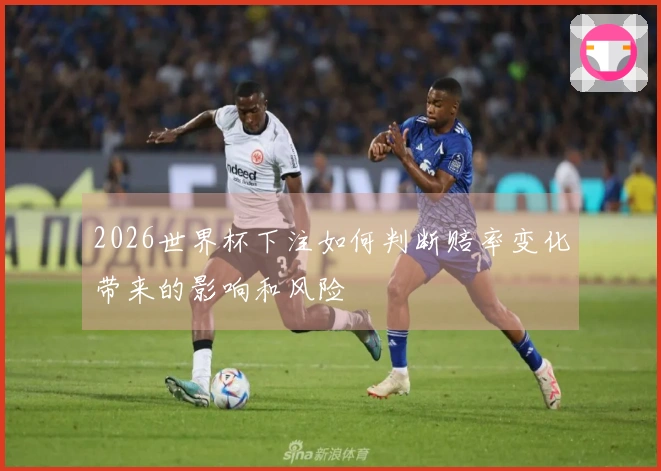 2026世界杯下注如何判断赔率变化带来的影响和风险