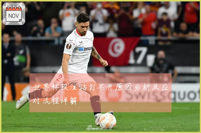 世界杯投注站打不开原因分析及应对流程详解