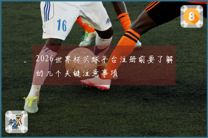 2026世界杯买球平台注册前要了解的几个关键注意事项