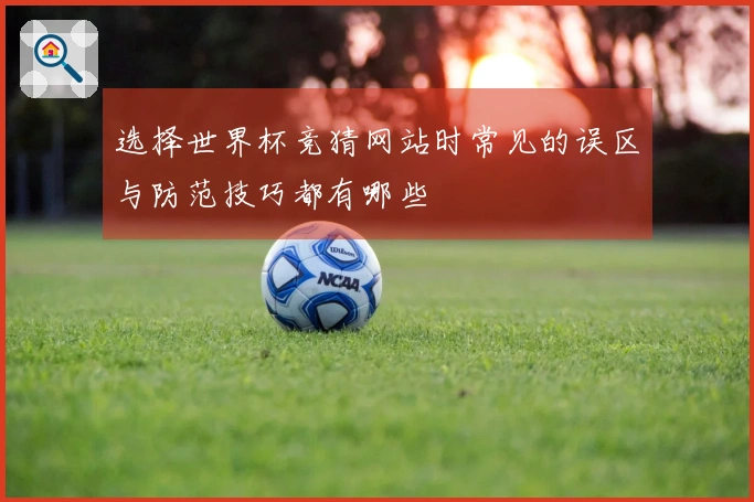 选择世界杯竞猜网站时常见的误区与防范技巧都有哪些