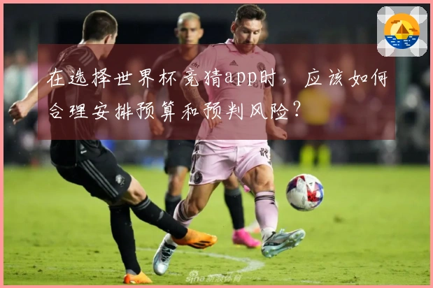 在选择世界杯竞猜app时，应该如何合理安排预算和预判风险？