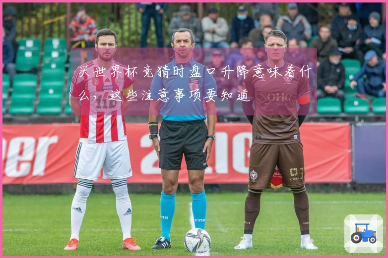 买世界杯竞猜时盘口升降意味着什么，这些注意事项要知道