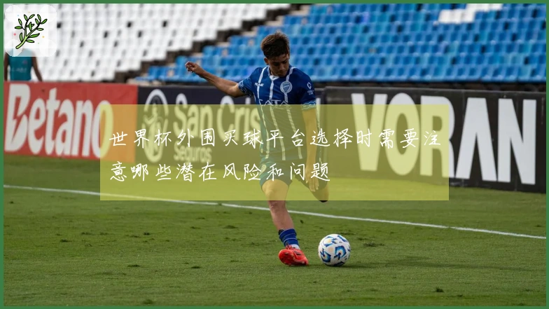 世界杯外围买球平台选择时需要注意哪些潜在风险和问题